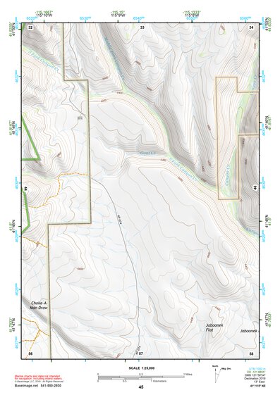 41115NE Page 45 Jarbidge Mountains Topo Preview 1