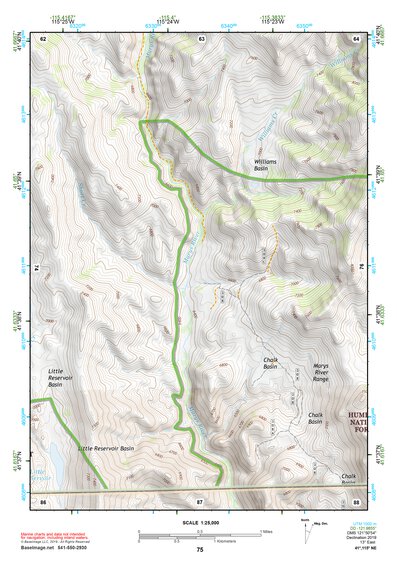 41115NE Page 75 Jarbidge Mountains Topo Preview 1