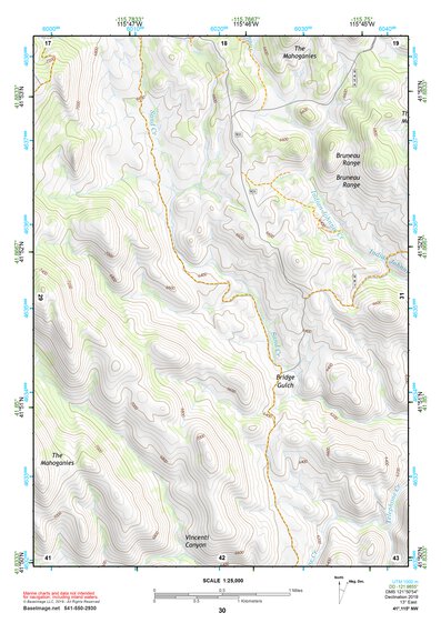 41115NW Page 30 Jarbidge Mountains Topo Preview 1