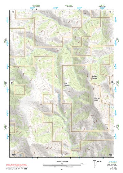 41116SE Page 90 Tuscarora Topo Preview 1