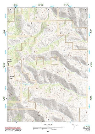 41116SE Page 91 Tuscarora Topo Preview 1