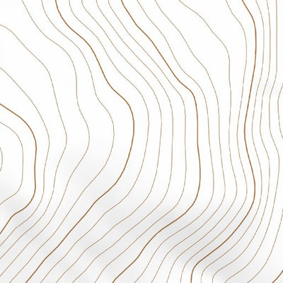41117NE Page 45 Quinn River Valley Topo Preview 2