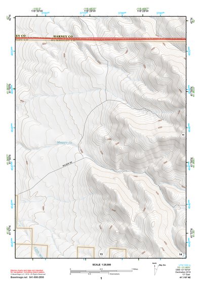 41118NE Page 1 Denio Topo Preview 1