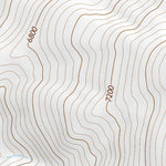 41118NE Page 4 Denio Topo Preview 2