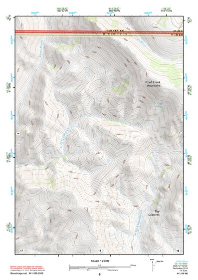 41118NE Page 6 Denio Topo Preview 1