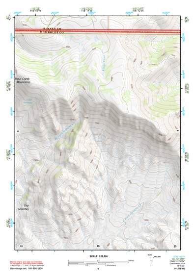 41118NE Page 7 Denio Topo Preview 1