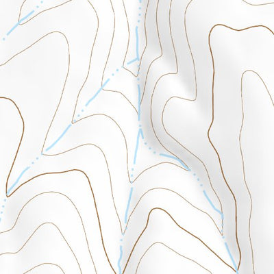 41118NE Page 12 Denio Topo Preview 2