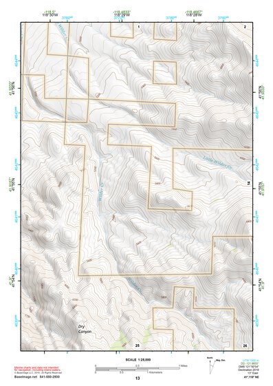 41118NE Page 13 Denio Topo Preview 1