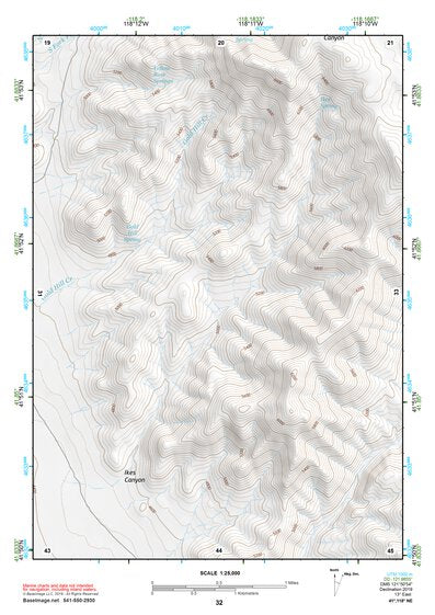 41118NE Page 32 Denio Topo Preview 1