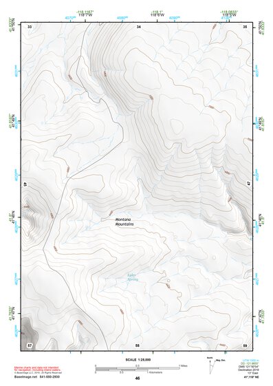 41118NE Page 46 Denio Topo Preview 1