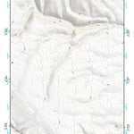 41118NE Page 48 Denio Topo Preview 1