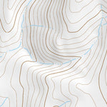 41118NE Page 51 Denio Topo Preview 2