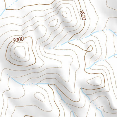 41118NE Page 54 Denio Topo Preview 3