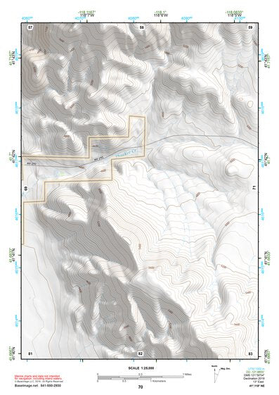 41118NE Page 70 Denio Topo Preview 1