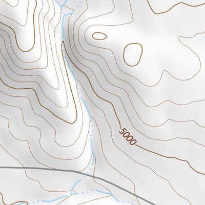 41118NE Page 71 Denio Topo Preview 3