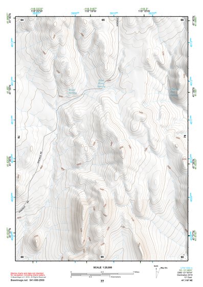 41118NE Page 77 Denio Topo Preview 1