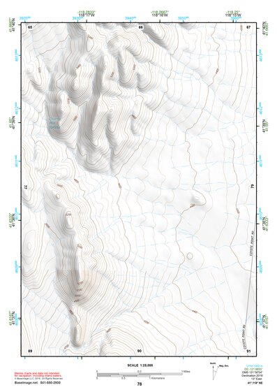 41118NE Page 78 Denio Topo Preview 1
