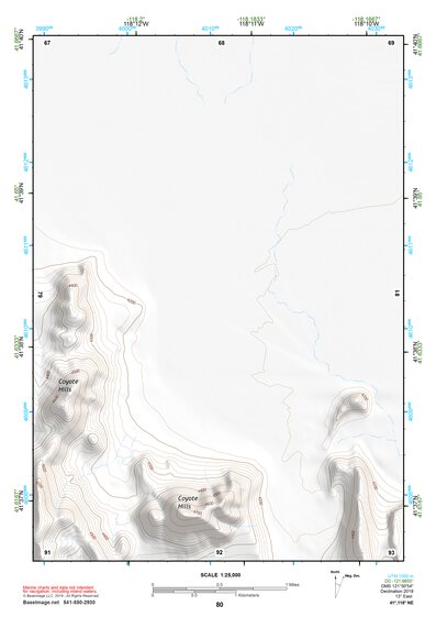 41118NE Page 80 Denio Topo Preview 1