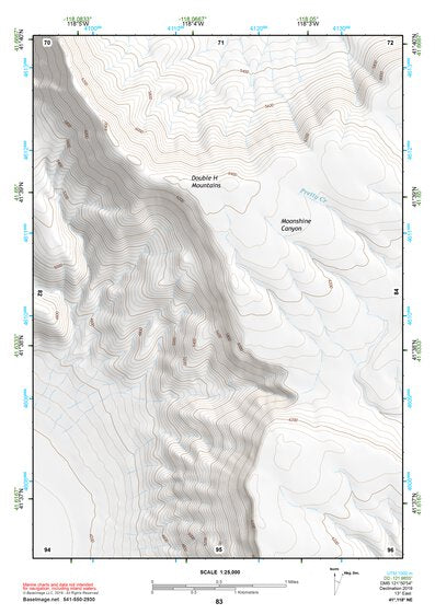 41118NE Page 83 Denio Topo Preview 1