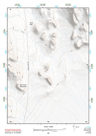 41118NE Page 91 Denio Topo Preview 1
