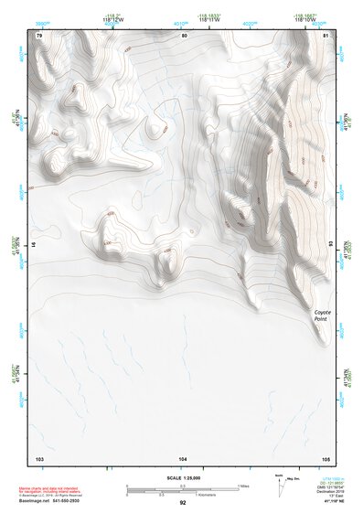 41118NE Page 92 Denio Topo Preview 1