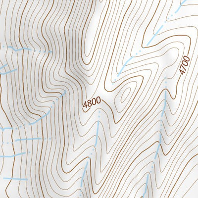 41118NE Page 101 Denio Topo Preview 2