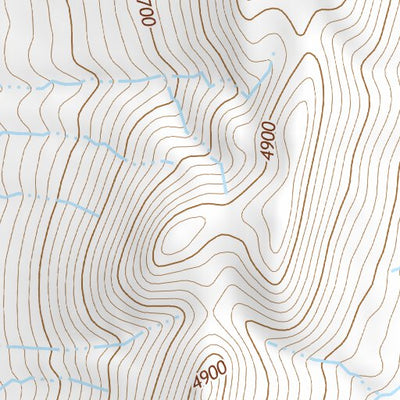 41118NE Page 101 Denio Topo Preview 3