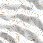 41118NE Page 108 Denio Topo Preview 3