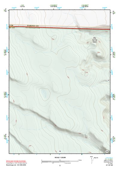 41118NW Page 1 Denio Topo Preview 1