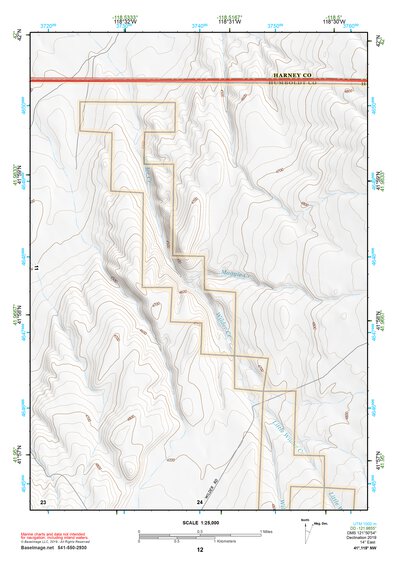 41118NW Page 12 Denio Topo Preview 1