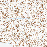 41118NW Page 31 Denio Topo Preview 3