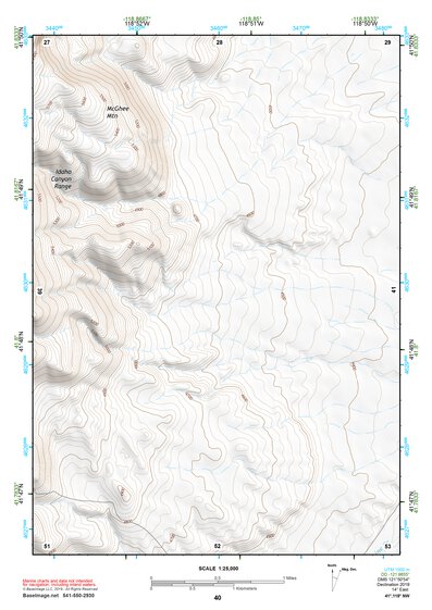 41118NW Page 40 Denio Topo Preview 1