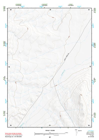 41118NW Page 41 Denio Topo Preview 1