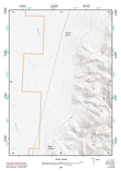 41118NW Page 43 Denio Topo Preview 1