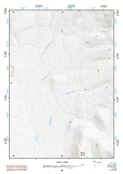 41118NW Page 48 Denio Topo Preview 1