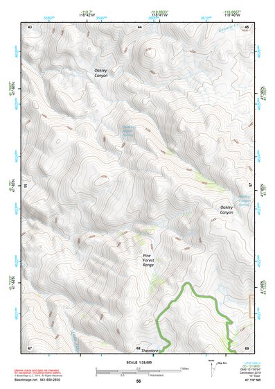 41118NW Page 56 Denio Topo Preview 1