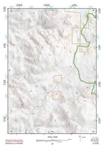 41118NW Page 77 Denio Topo Preview 1