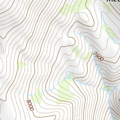 41118NW Page 79 Denio Topo Preview 2