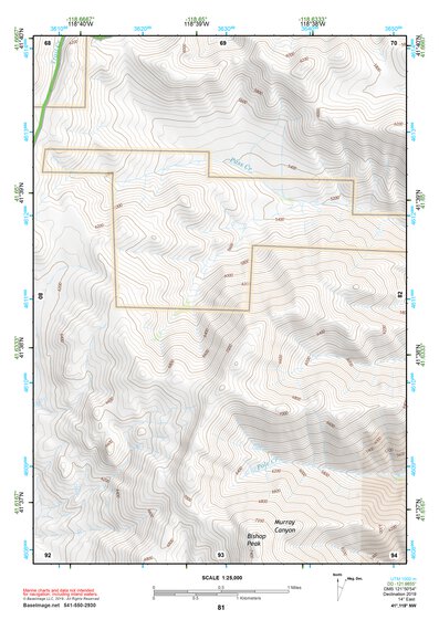 41118NW Page 81 Denio Topo Preview 1