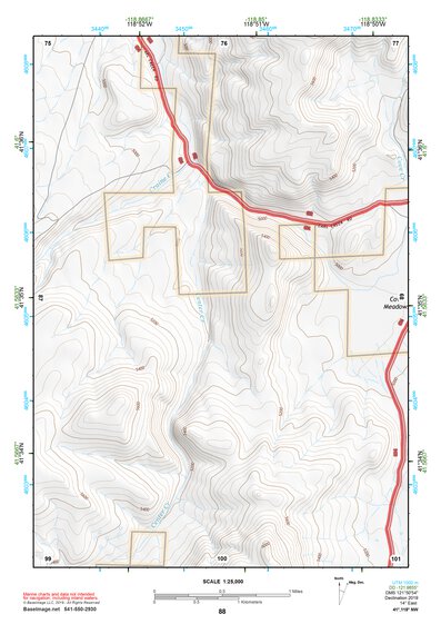 41118NW Page 88 Denio Topo Preview 1