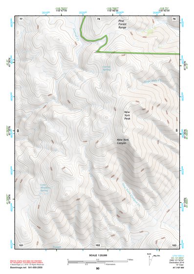 41118NW Page 90 Denio Topo Preview 1