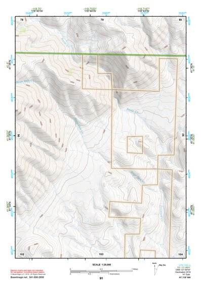 41118NW Page 91 Denio Topo Preview 1