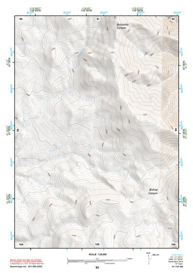 41118NW Page 93 Denio Topo Preview 1