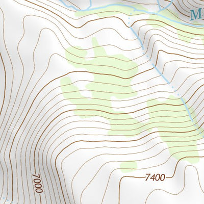 41118NW Page 97 Denio Topo Preview 2