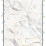 41118NW Page 99 Denio Topo Preview 1