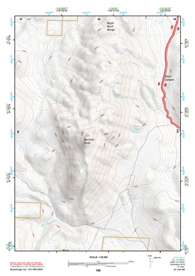 41118NW Page 100 Denio Topo Preview 1