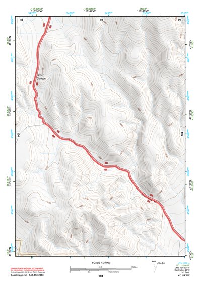 41118NW Page 101 Denio Topo Preview 1