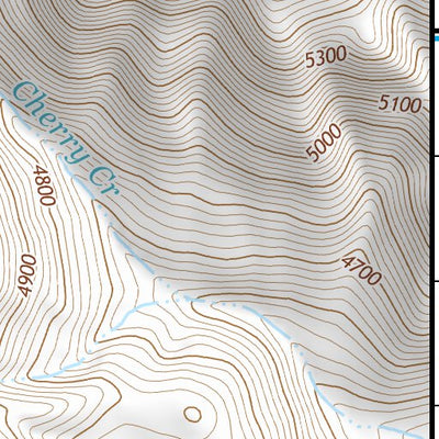41118NW Page 106 Denio Topo Preview 3