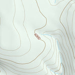 41119NE Page 7 Vya Topo Preview 2