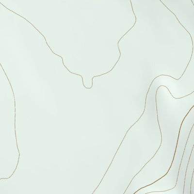 41119NE Page 9 Vya Topo Preview 2